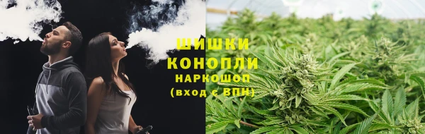 Альфа ПВП Новодвинск